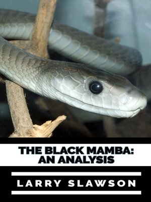 cover image of The Black Mamba